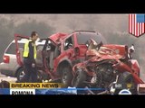 Crashes by motorists driving the wrong way kills 11 in US