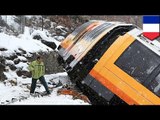 Train crash: falling boulder hits train in French Alps, two dead