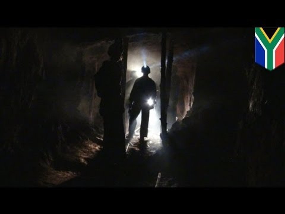 Eight miners found dead in South African gold mine, one still missing