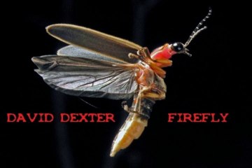 David "Death" Dexter - Firefly