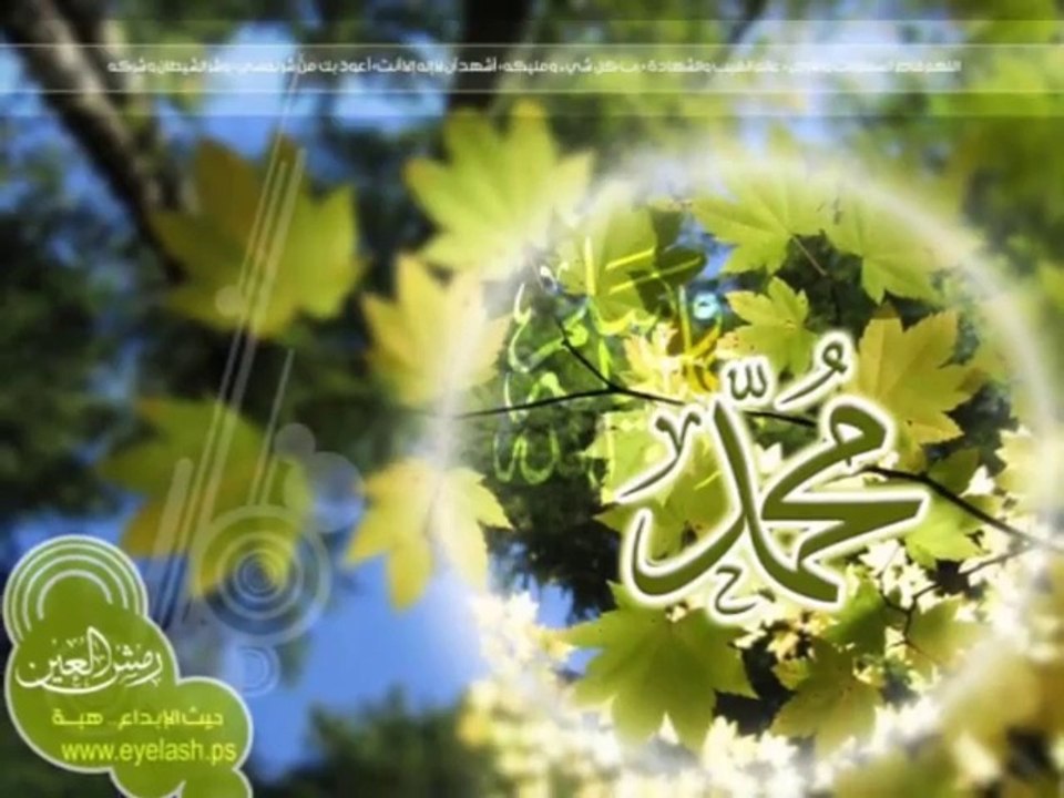 Punjabi Naat by Afzal Noshahi Hasan Minhaj-ul-Quran naat