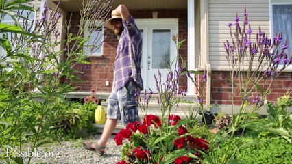 Écomestible, edible landscaping and urban permaculture