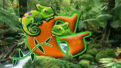 Actividades outdoor para empresas