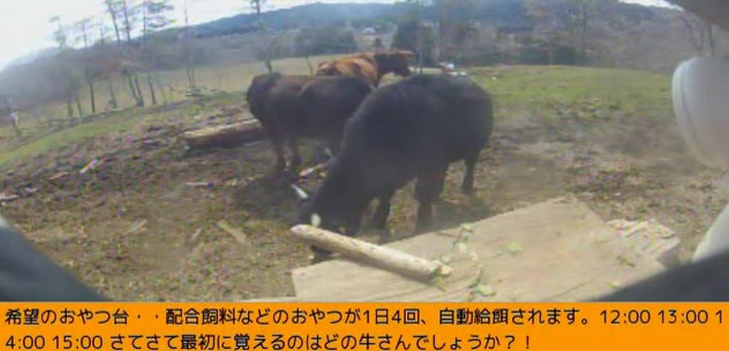 2014-03-14 16-15-36　牧場３号機　シズお姉さん