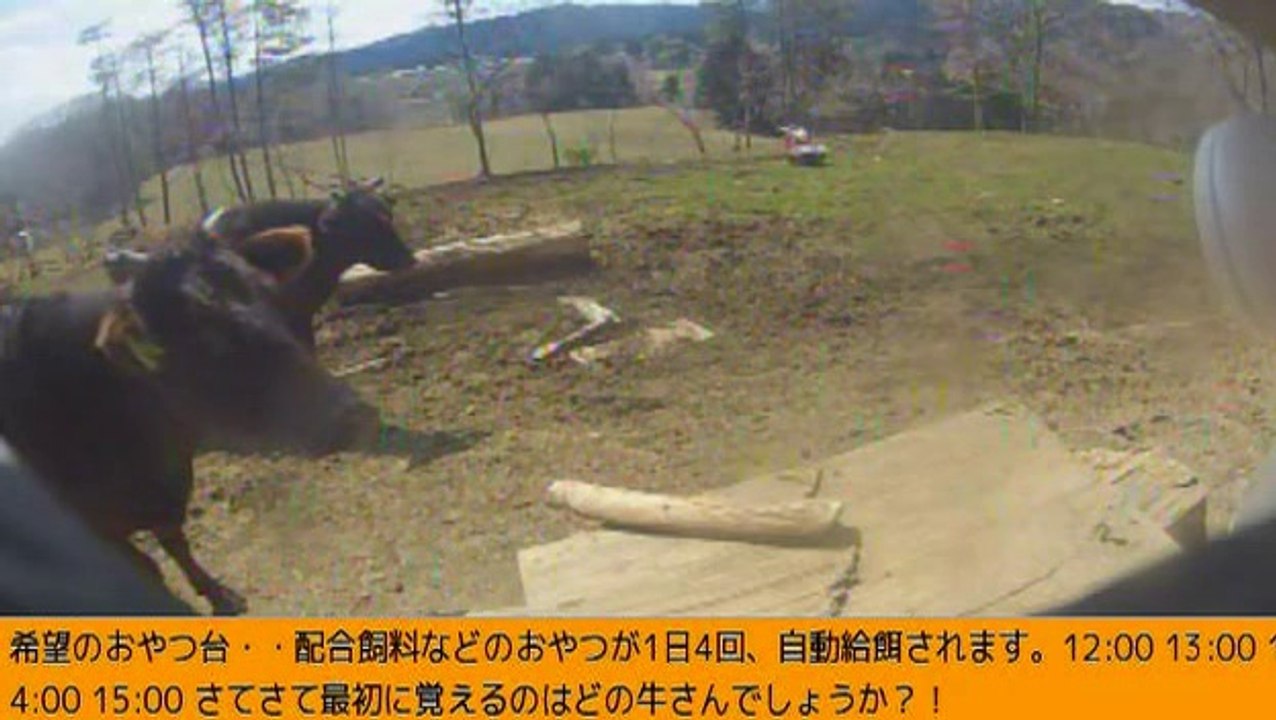 2014-03-15 13-37　牧場３号機まったり曜日
