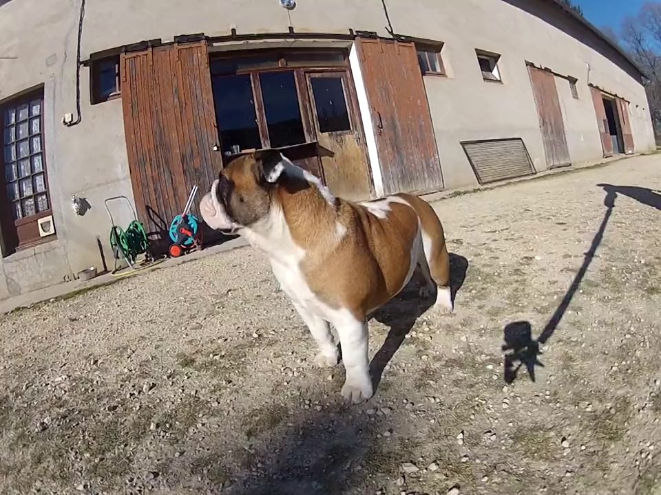 2eme essai gopro 005