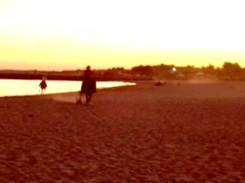 galop sur la plage