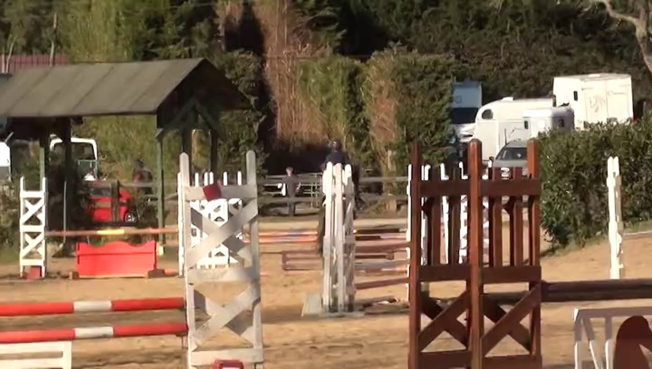 Virevolte de Noé - CSO du Cycle classique 5/6ans CCE de St Mars d'outillé 16 mars 2014