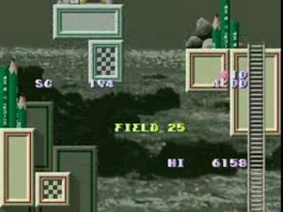 Umihara Kawase Fields around F29(sound)