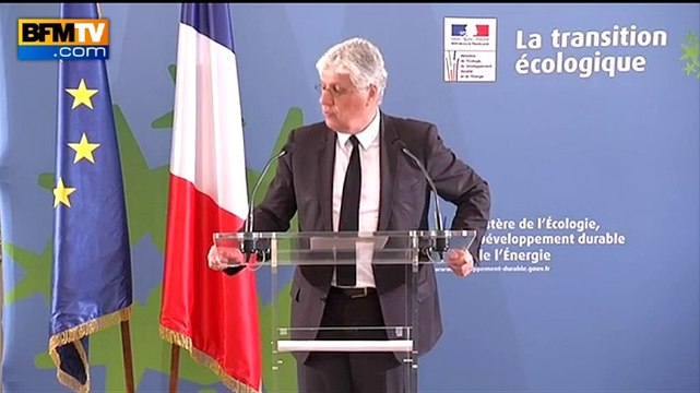 Pollution en Ile-de-France: la circulation alternée n'est pas reconduite mardi - 17/03