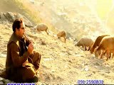 Karan Khan New Pashto Album CHINAAR VOL 8 Har Kali | pashtorung.com