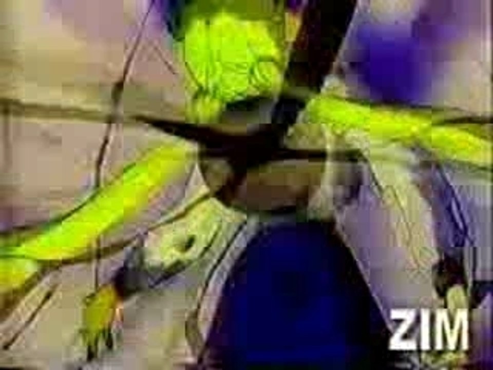 Sailor Moon - (AMV) Ramstein - DuHast