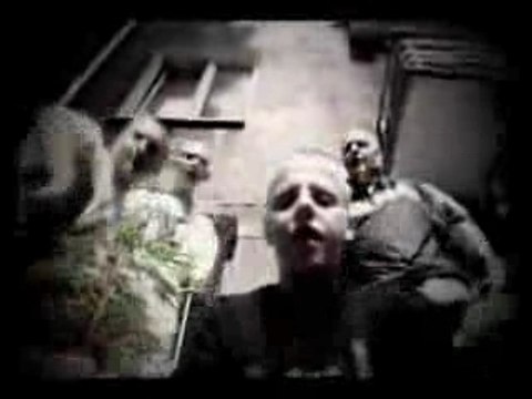 Hemp Gru - Sami Swoi