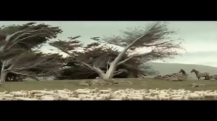 2010 Honda - Impossible Dream