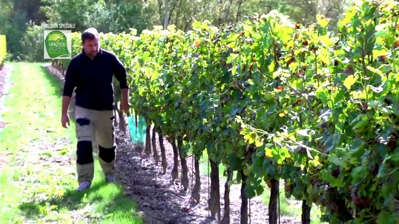 En Direct D!CI : Hautes-Alpes Naturellement - Partie 1