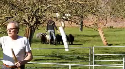 Keiko troupeau 2014-03-16