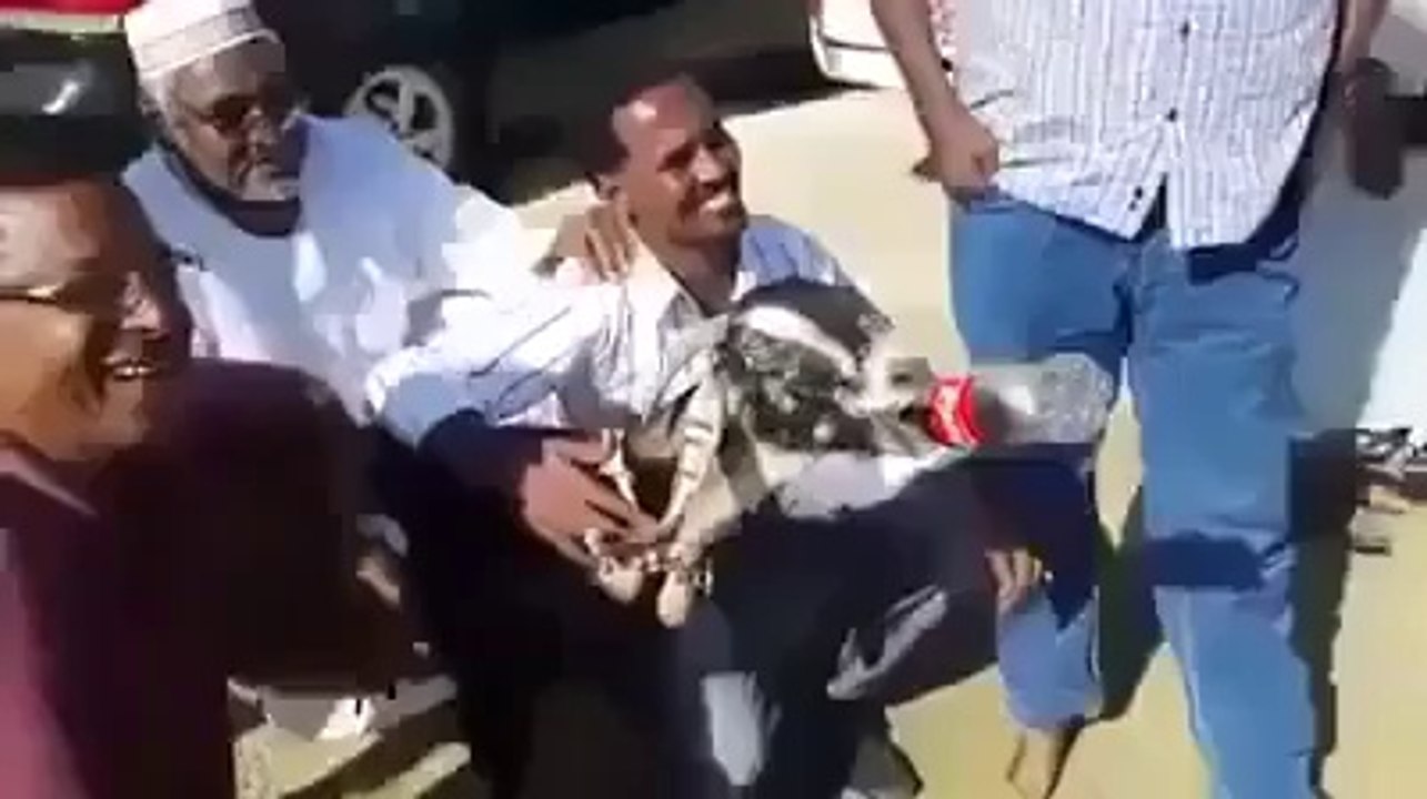 goat