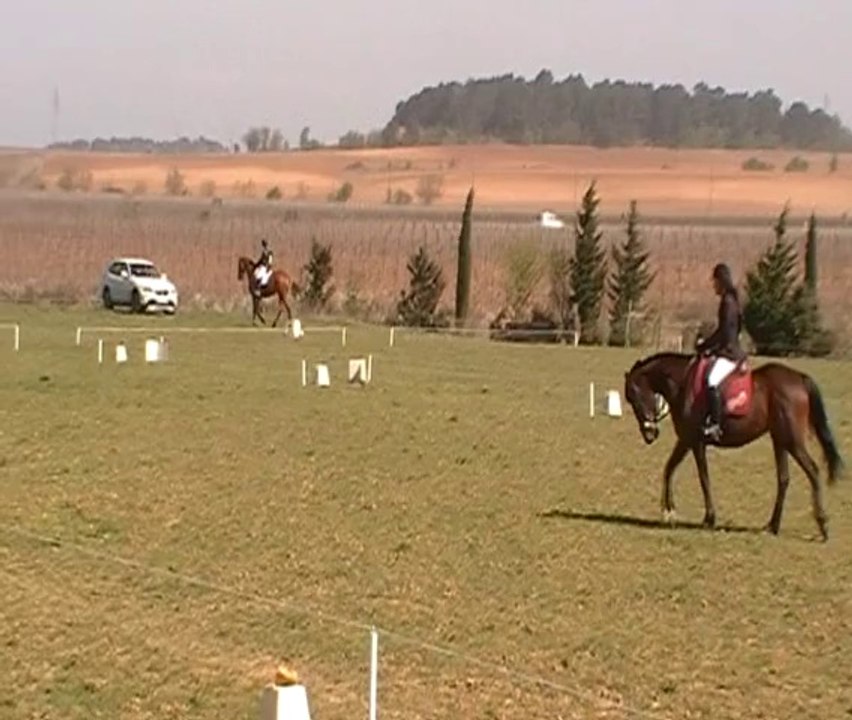 Championnats Départementaux de l'Aude,dressage CCE Club Elite