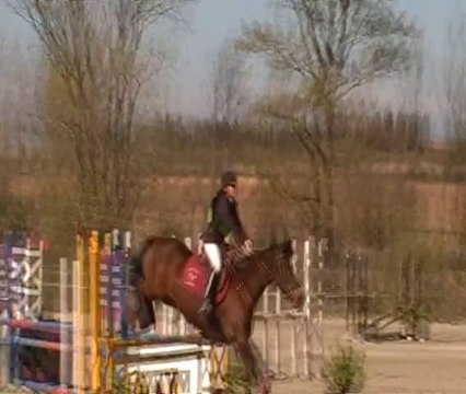 Championnats départementaux de l'Aude, CSO, Club Elite