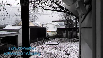 31614 Snow Shower