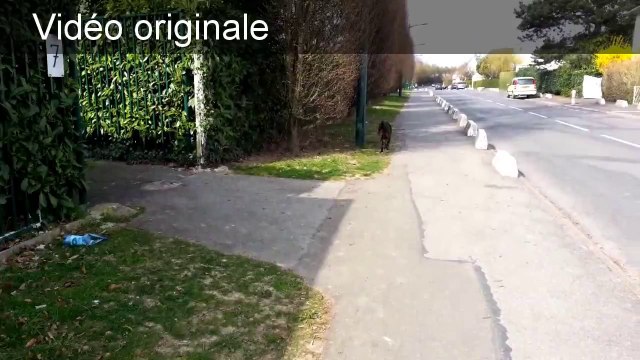 Stabilisation de vidéo - comparaison Youtube et Adobe Warp