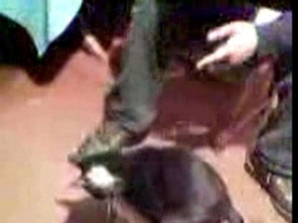 Video(120).3gp