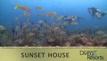 Top 3 Reasons to visit Sunset House