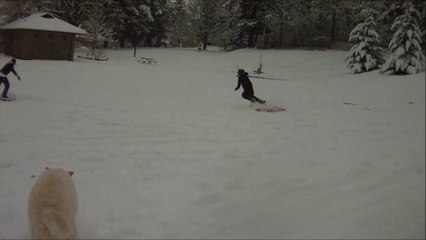 Funniest Viral Videos - Teen Face Plant in Snow