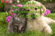 Mobile Vet Service - Home Visiting Vet  Emergency Vet Toronto