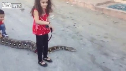 Two children walk their leashed python