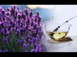 natural herbal remedies from naturalfoodnew