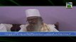 Hazrat Maulana Syed Hashmi Mian Sahib Madani Channel Ko Tassurat Detey Huey (Udaipur, Hind)