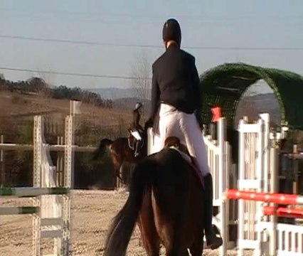 Elodie et Quitus, club 1, Lézi Jump 4, 9 mars 2014