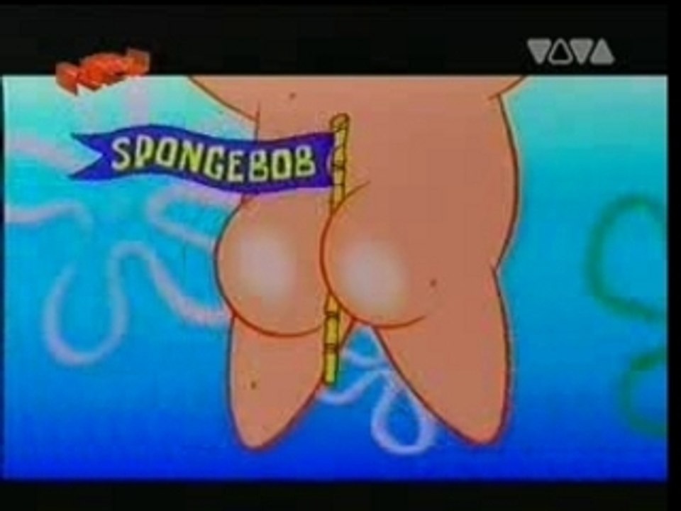 Schwammalarm Im Ozean