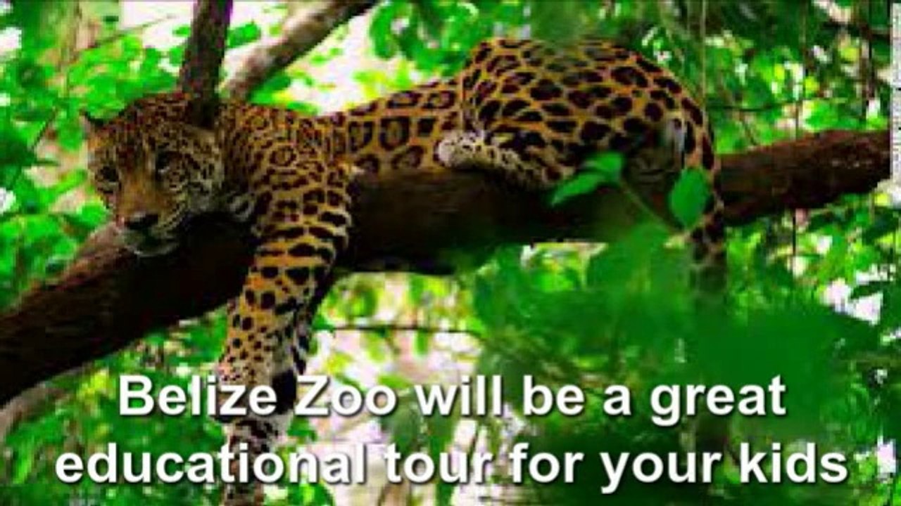Top 7 Must-Dos for Tourists