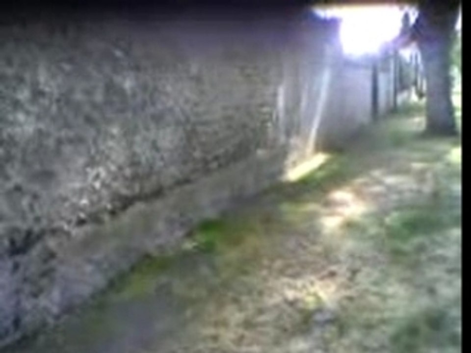 sacro2