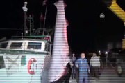 Balıkçılara yarım tonluk köpek balığı sürprizi