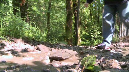 Pour vous en Pays de Savoie : Mars 2014