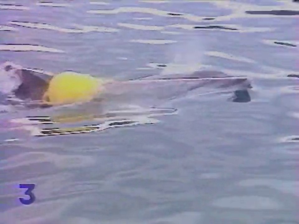 Dauphin Dolphy 1994