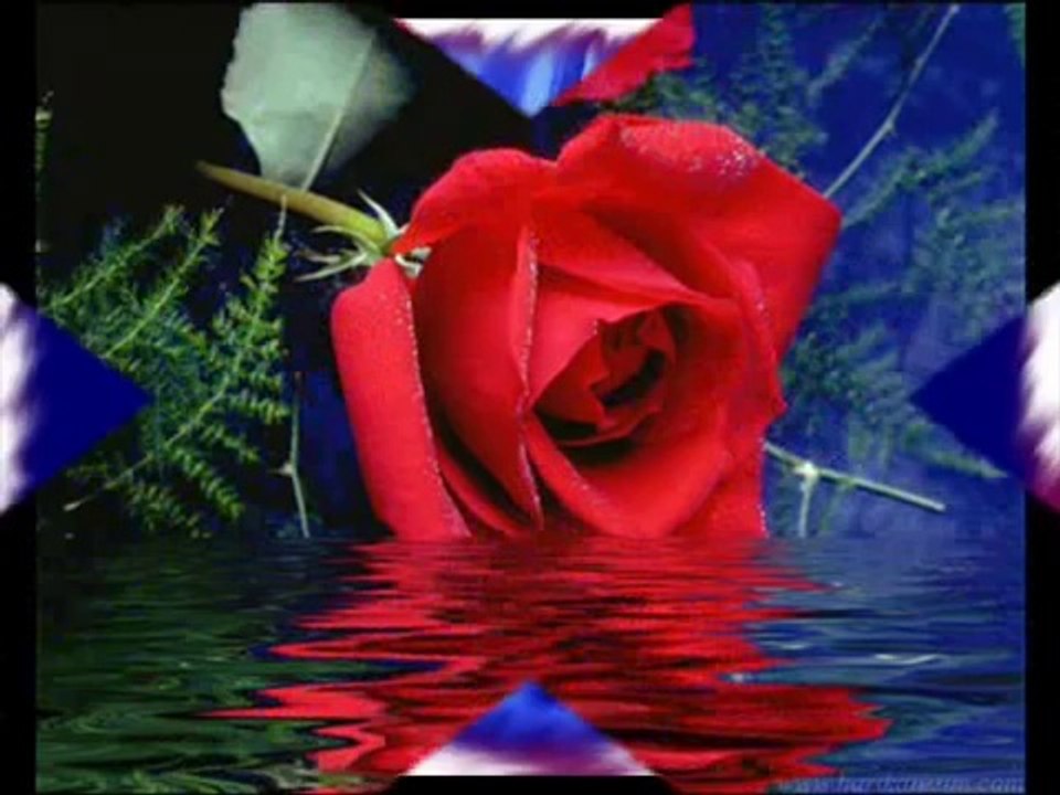 Gaye AKSU  -   yalan dünya damar