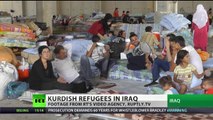 Minority Misery: 'Jihadists cleansing Kurds in Syria', thousands flee