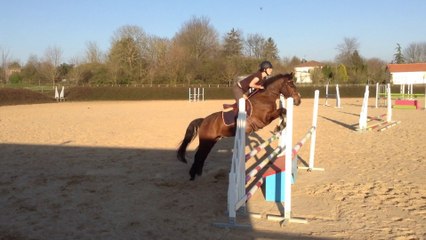 Blacky entrainement Coulonges