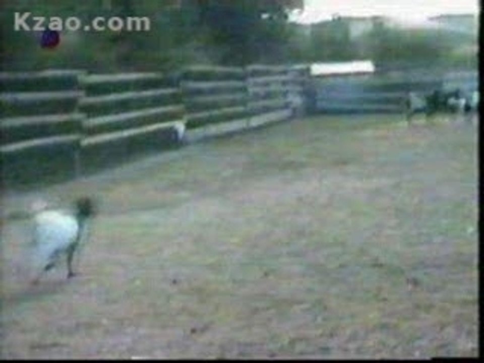 La chevre de regis a une crampe