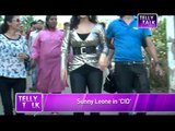 Telly Express  Sunny Leone, Sonali Bendre and others