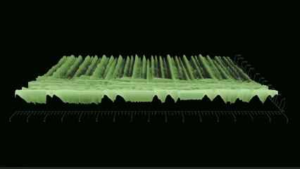 Monsieur Gontrand - 07 - Les contrées inexplorées (album "24 heures à ses côtés" - 1999)