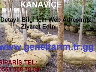 kanaviçe telis,KANAVİÇE TELİS BEZİ,telis bezi jüt,jüt kanaviçe