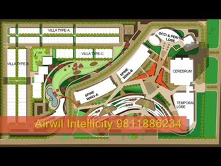 Airwil Intellicity Noida Extension call 9811886234