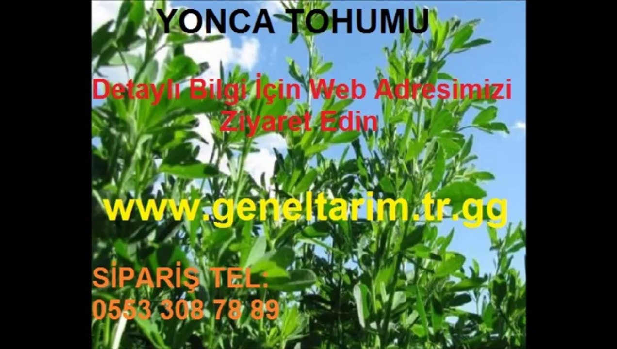 yonca tohumu satışı,satılık sertifikalı yonca tohumu,sertifikalı yonca tohumu