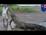 Crocodile attack: 12-year-old taken by croc in Australia