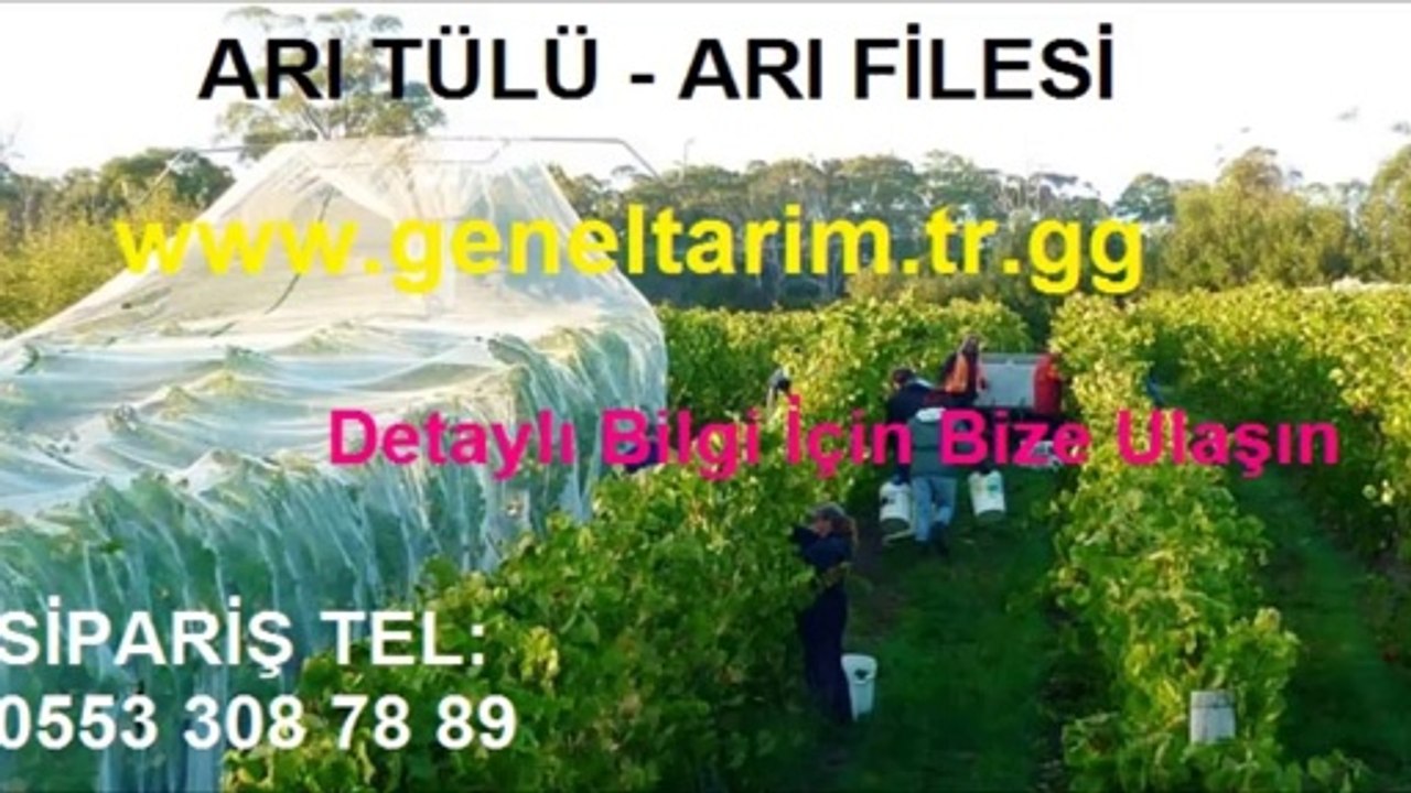 BAĞ FİLESİ,ÜZÜM FİLESİ,üzüm-filesi,üzüm filesi,anti böcek tülü,anti-böcek-tülü,anti_böcek_tülü